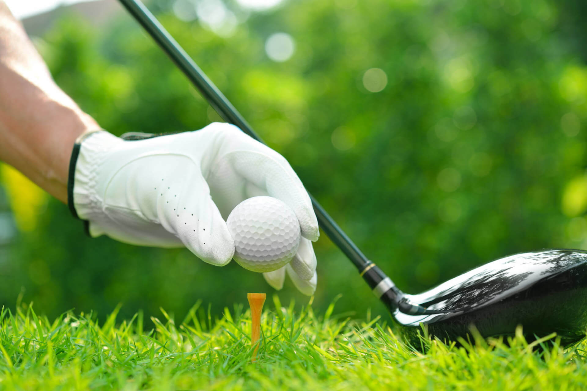 Artículos especiales de golf